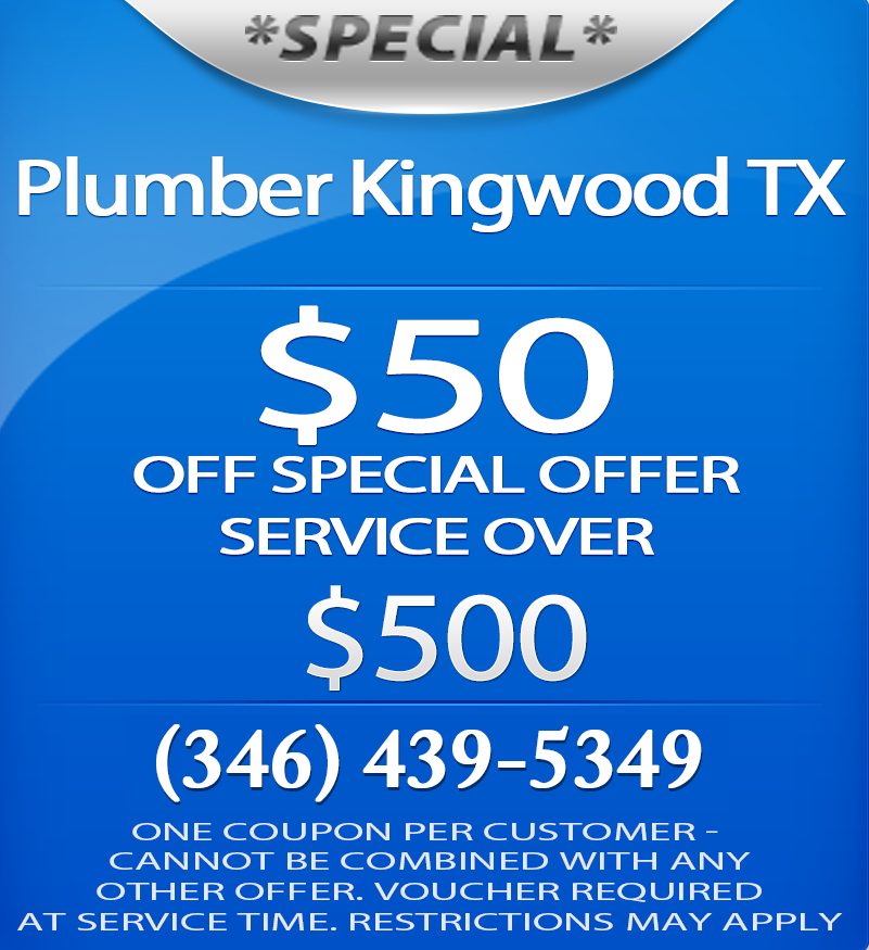 LP Plumbing Kingwood Company